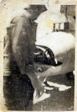 Damage to turret on tail of Johns B-17.